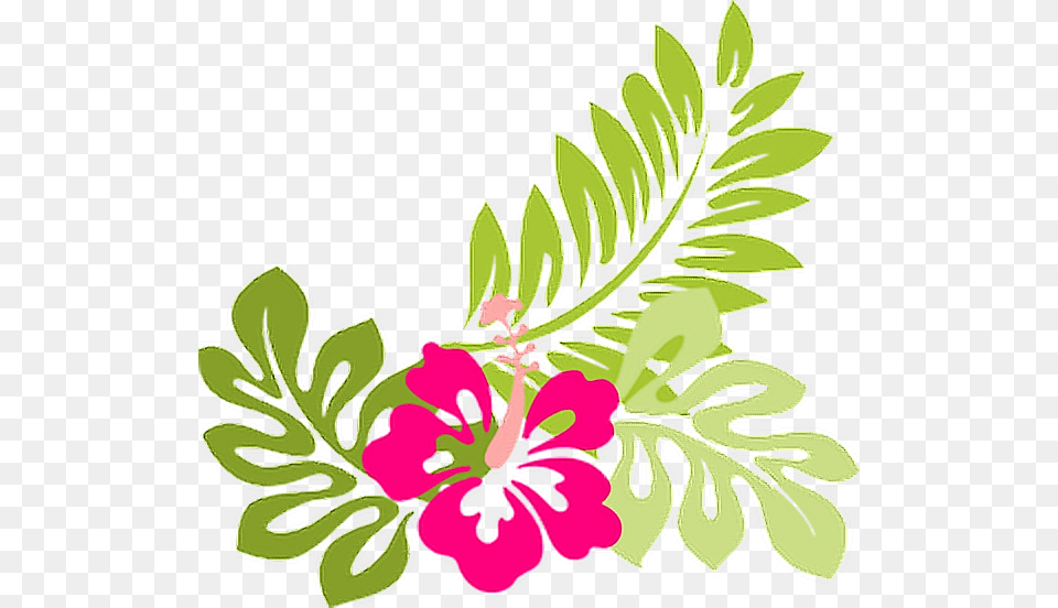 Summertime Summerfun Tropical Beach Sand Flamingo Tropical Flower Clipart, Art, Pattern, Herbs, Herbal Free Png Download