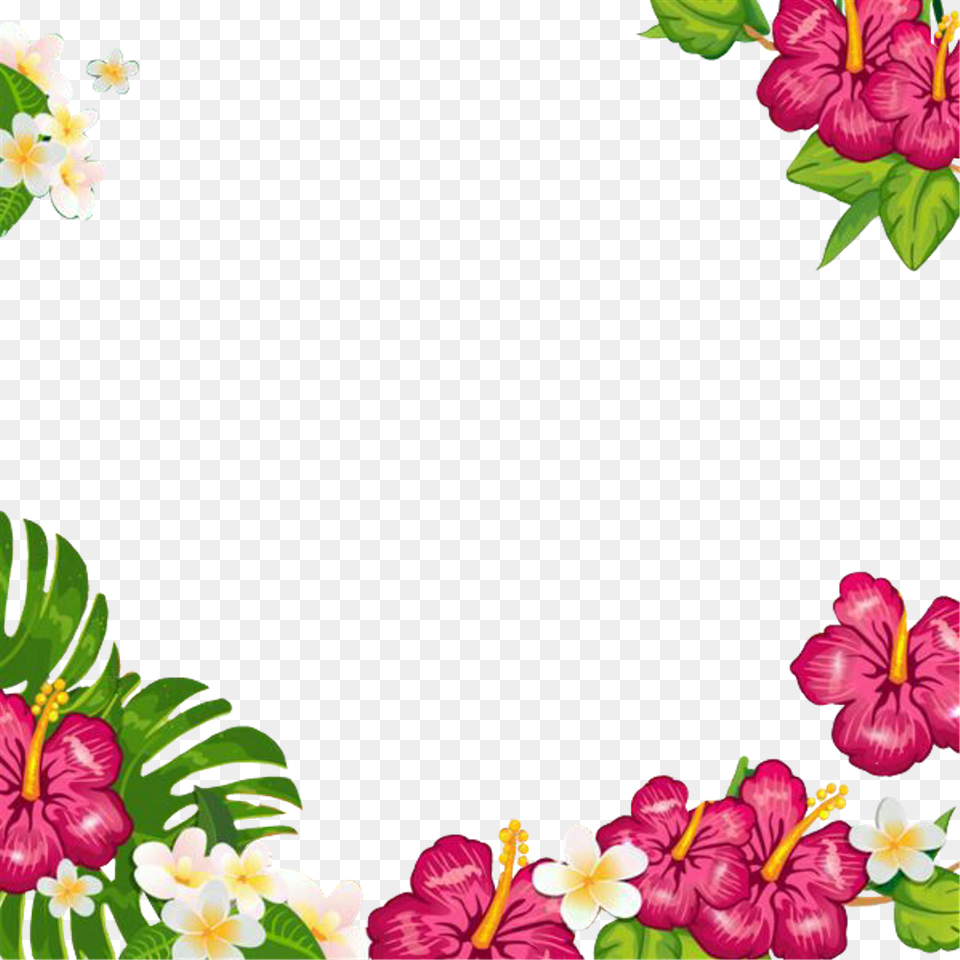 Summertime Summerfun Tropical Flowers Frame Picturefram Convite Festa Havaiana, Plant, Pattern, Graphics, Flower Free Png Download