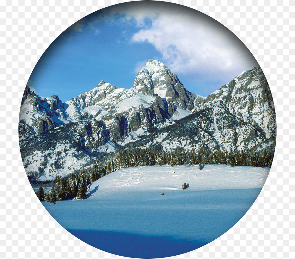 Summit, Fir, Plant, Peak, Outdoors Free Transparent Png