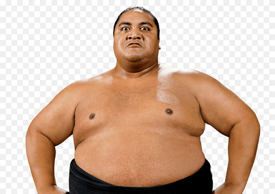 Sumo, Adult, Sport, Person, Man Free Transparent Png