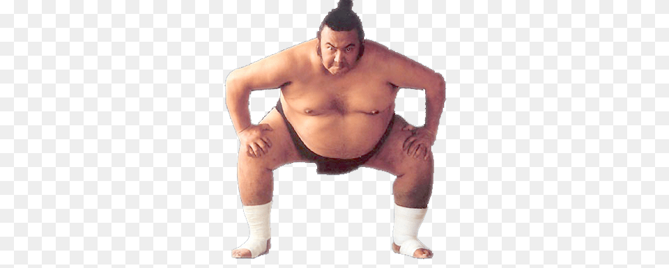 Sumo, Person, Sport, Wrestling, Baby Png Image