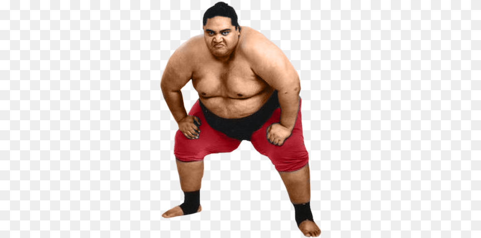 Sumo Sumo Wrestler, Person, Sport, Wrestling, Adult Png Image