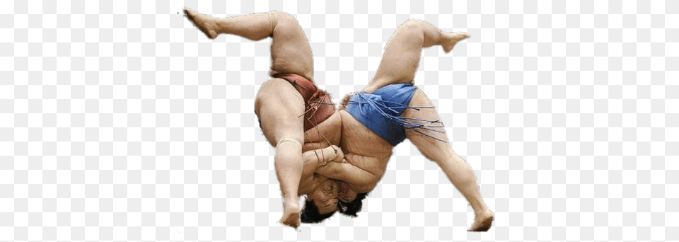 Sumo Wrestlers Upside Down, Baby, Person, Sport, Wrestling Png Image