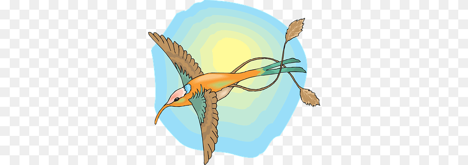 Sun Animal, Beak, Bee Eater, Bird Free Png Download