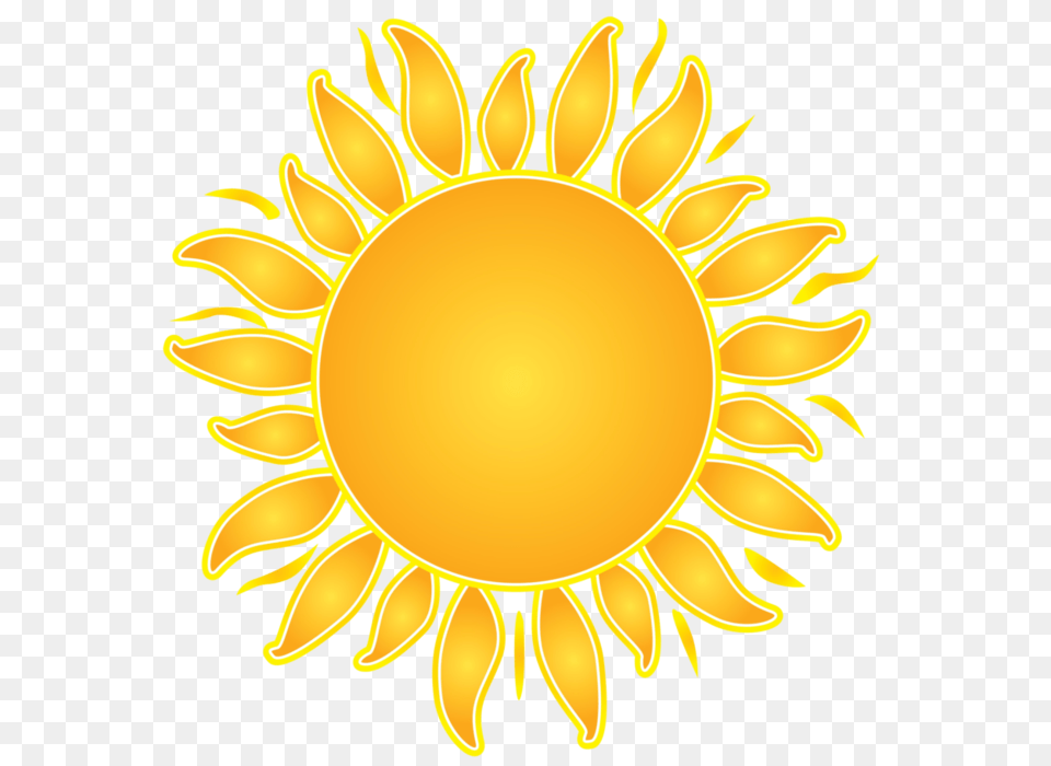 Sun, Flower, Nature, Outdoors, Plant Free Transparent Png