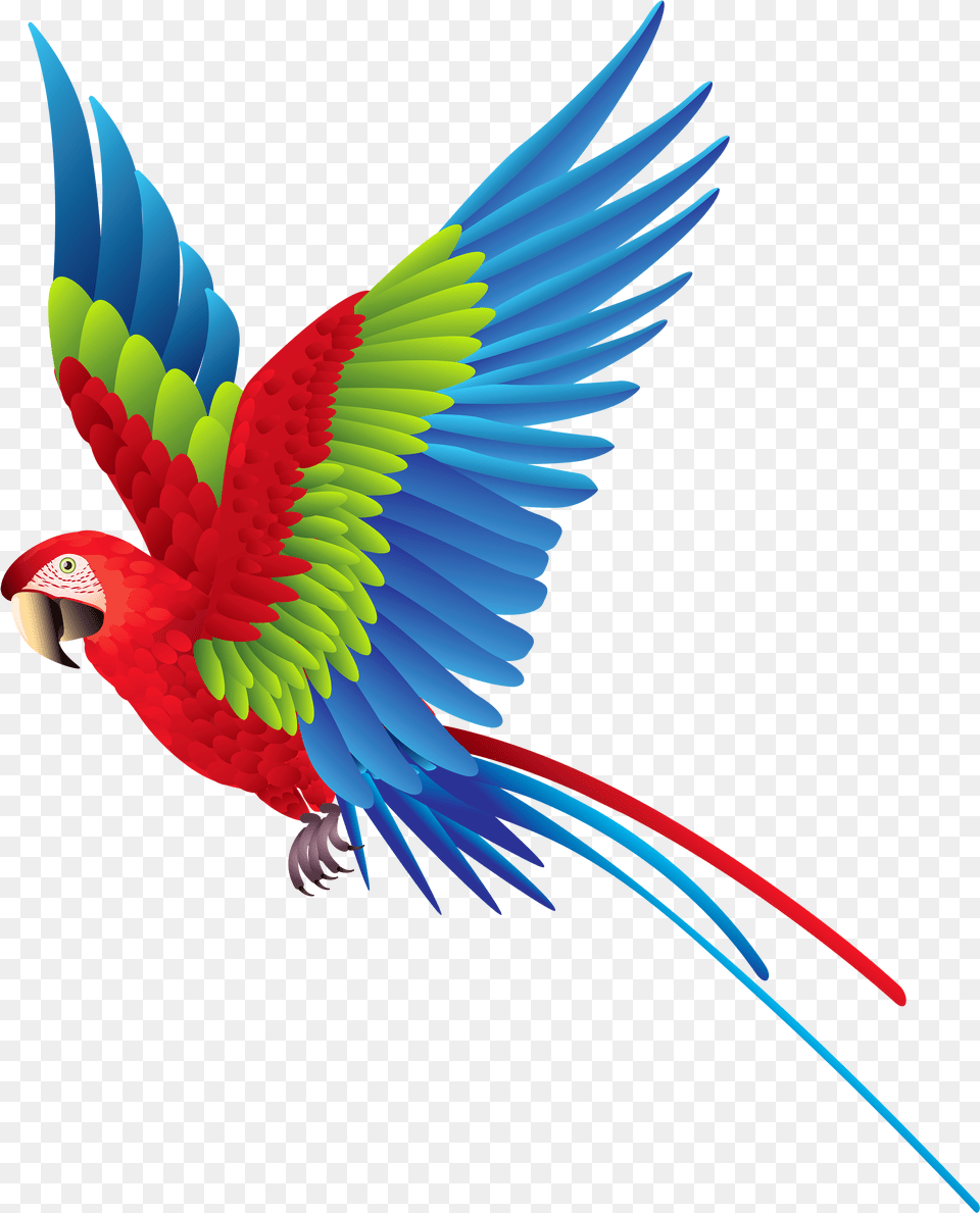 Sun Banner Free Download Files Colorful Flying Birds, Animal, Bird, Macaw, Parrot Png Image