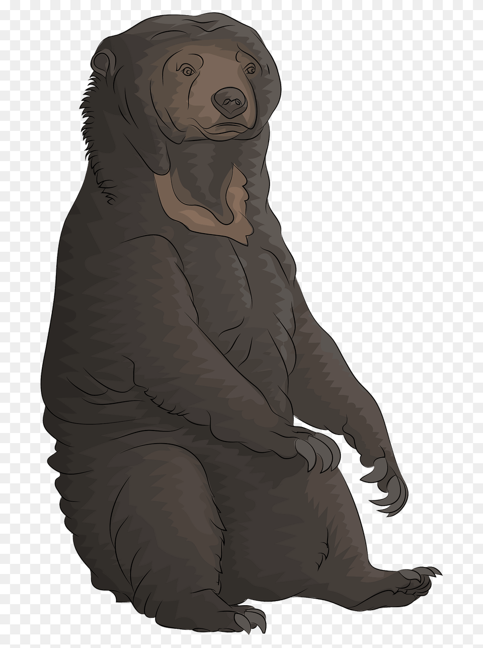 Sun Bear Clipart, Animal, Ape, Mammal, Wildlife Free Png Download