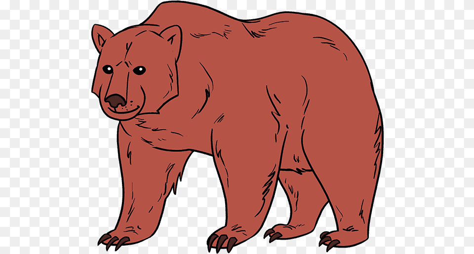 Sun Bear Clipart Realistic Drawing, Animal, Mammal, Wildlife, Brown Bear Png