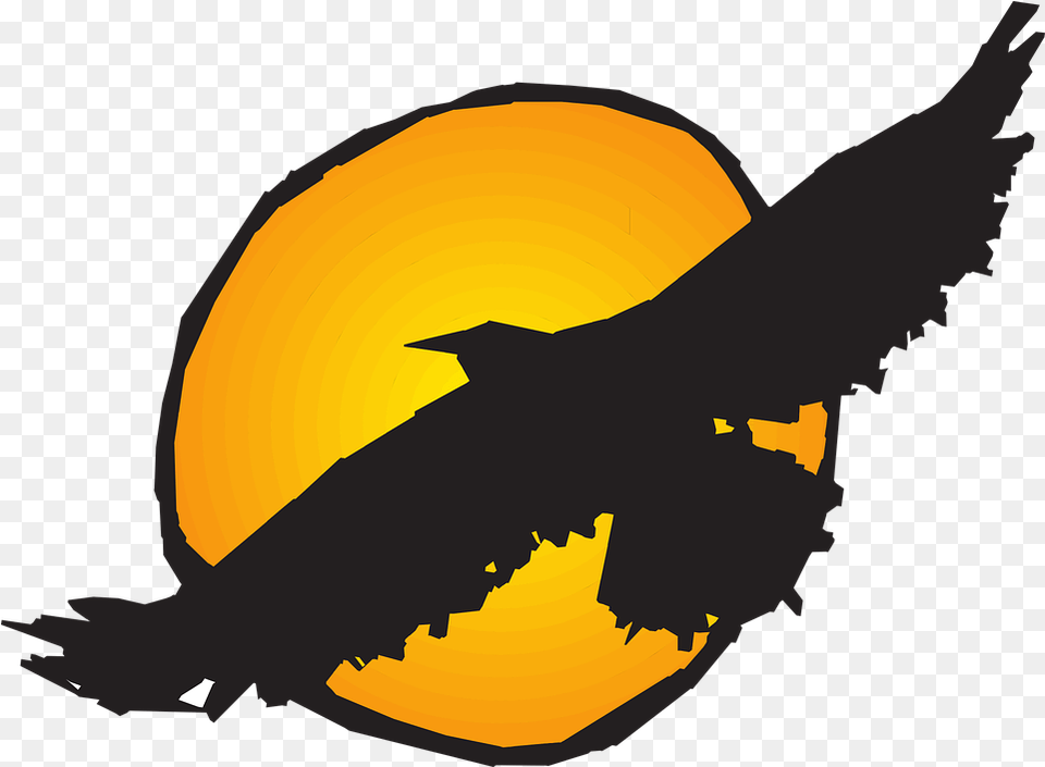 Sun Bird Flying Vector Graphic On Pixabay Prince Technical High School, Animal, Blackbird, Nature, Outdoors Png