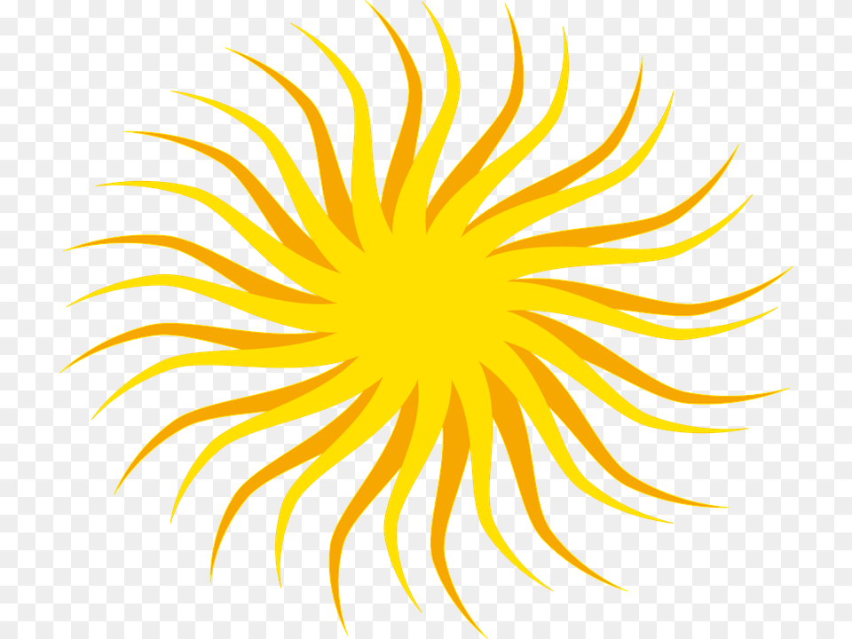 Sun Border Clip Art, Plant, Light, Flower Png Image