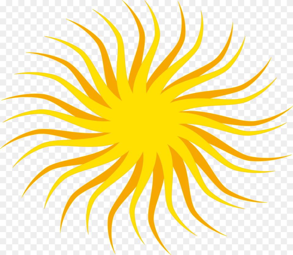 Sun Clipart, Pattern, Plant, Light Free Png