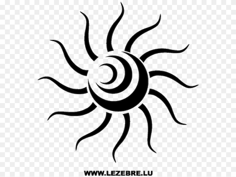 Sun Decals, Animal, Invertebrate, Spider Free Png