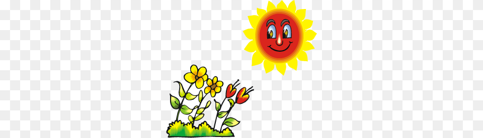 Sun Facts, Art, Graphics, Flower, Plant Free Transparent Png