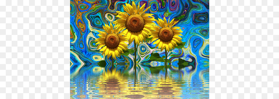 Sun Flower Plant, Sunflower, Art, Pattern Png