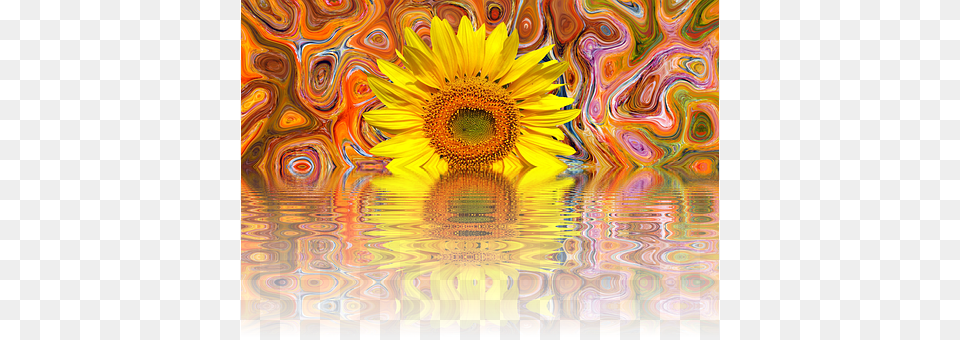 Sun Flower Art, Modern Art, Plant, Sunflower Png Image