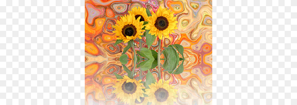 Sun Flower Plant, Sunflower, Pattern, Art Free Transparent Png