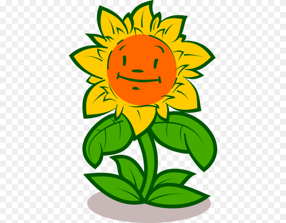 Sun Flower Cartoon Drawing, Plant, Sunflower, Leaf, Face Png