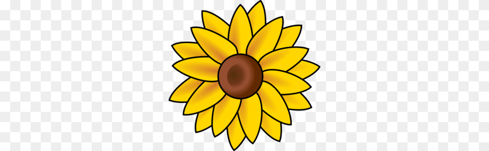 Sun Flower Clip Art, Daisy, Plant, Sunflower, Petal Free Transparent Png