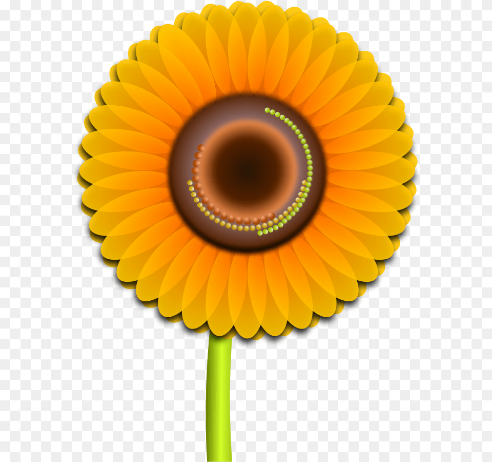 Sun Flower Clipart Vector Clip Art Online Royalty Hoa Huong Duong Vector, Daisy, Plant, Sunflower, Dahlia Png Image