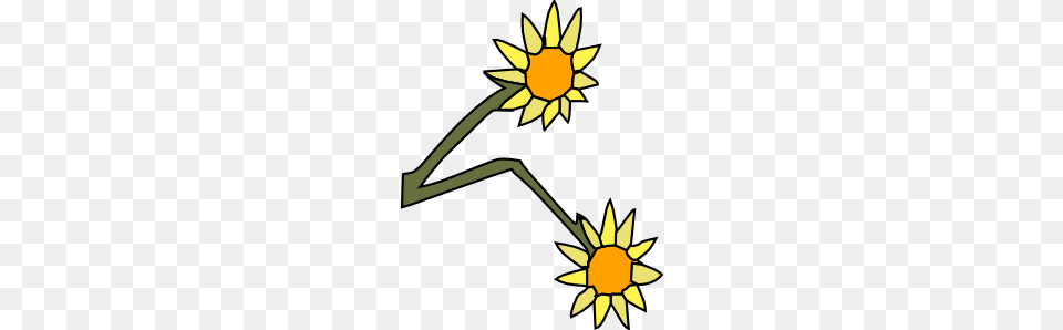 Sun Flowers Clip Art, Daisy, Flower, Plant, Sunflower Png