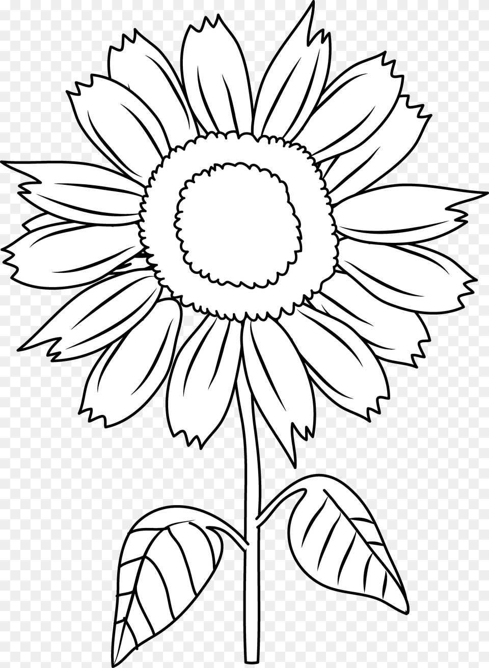 Sun Flowers Clipart Black And White Black And White Sunflower Clip Art Black And White, Flower, Daisy, Plant, Drawing Png