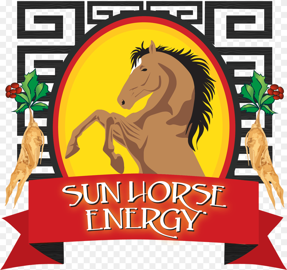 Sun Horsw, Animal, Mammal, Horse, Colt Horse Free Png Download