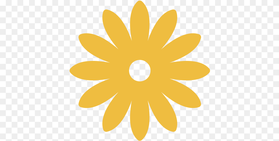 Sun Icon Animated Gif Image With No Flower Sjabloon, Daisy, Plant, Petal, Sunflower Png