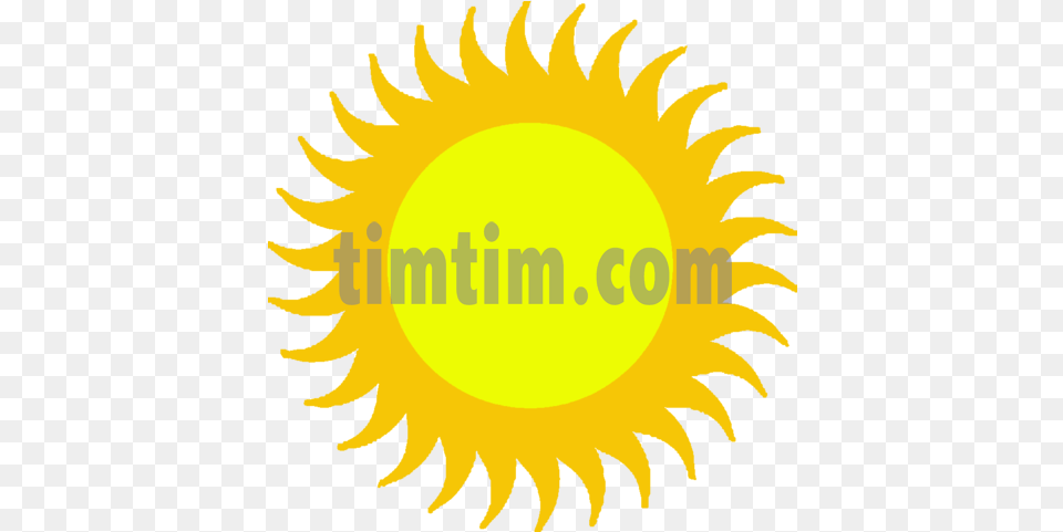 Sun Icon Backgroundfree Vector Graphics, Flower, Nature, Outdoors, Plant Free Png Download