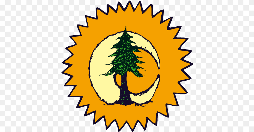 Sun Moon Pine Tree, Leaf, Plant, Logo, Person Png Image
