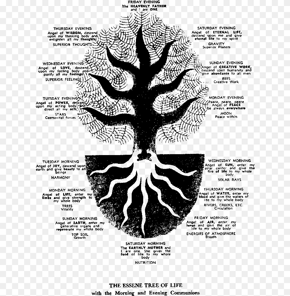 Sun Moon Tree Of Life, Gray Free Png Download
