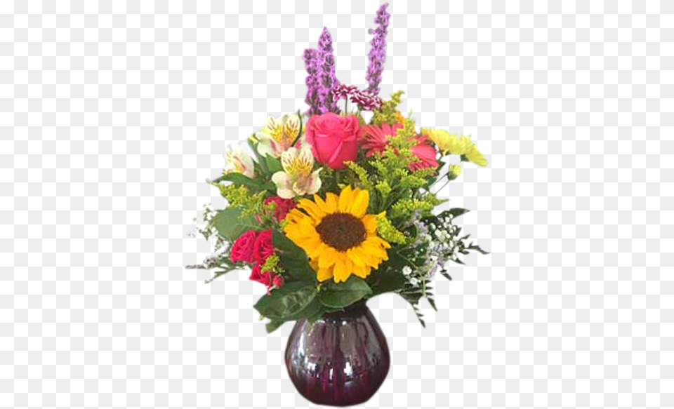 Sun Rays, Plant, Flower, Flower Arrangement, Flower Bouquet Png
