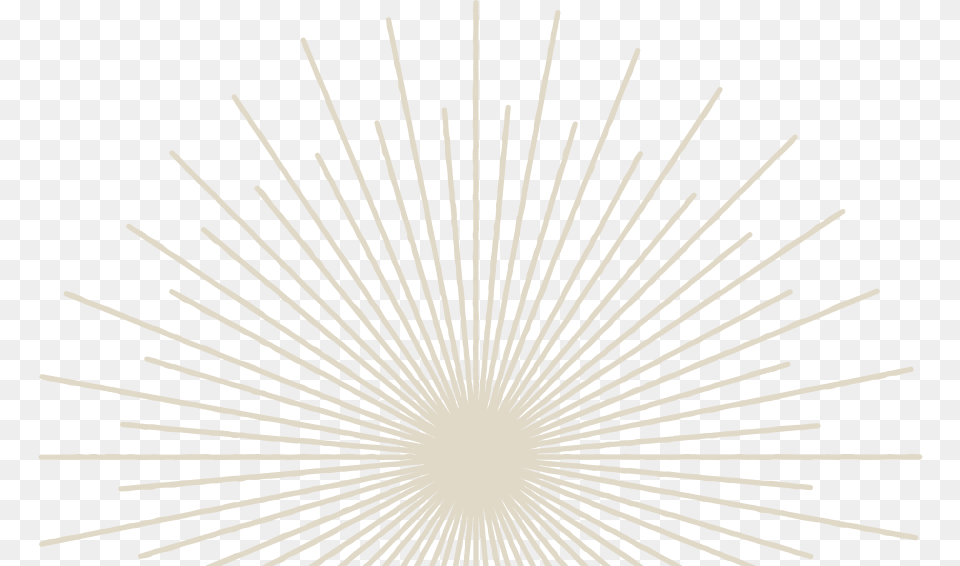 Sun Rays Hypnotic Vibes, Plant, Light, Fireworks, Home Decor Free Png