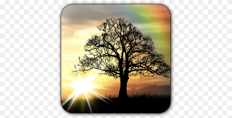 Sun Rise Free Live Wallpaper Apps On Google Play Tree With Tire Swing Silhouette, Flare, Sunlight, Sky, Plant Png Image