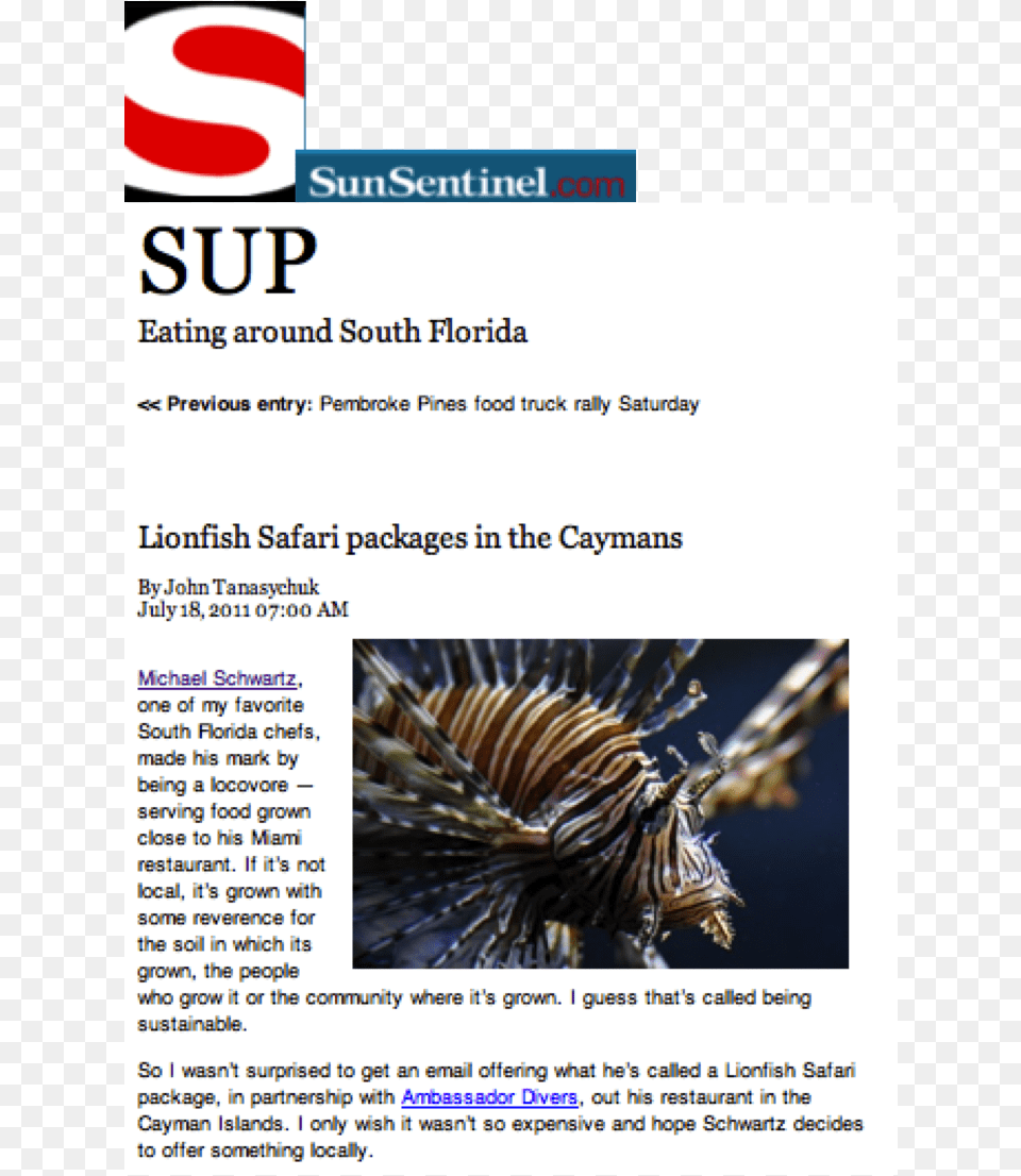 Sun Sentinel, Water, Aquatic, Advertisement, Nature Free Png Download