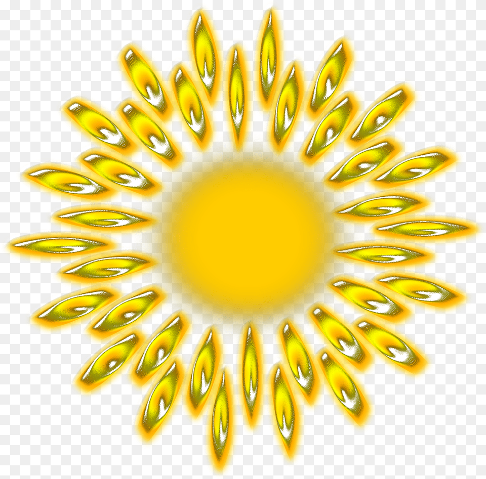 Sun Solar Sky Light System Planet Space Sunny Wbscvet, Pattern, Flower, Plant, Accessories Png