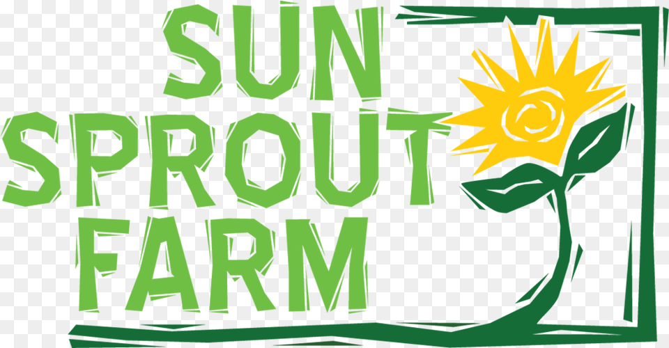 Sun Sprout Farm, Flower, Plant, Sunflower, Green Png