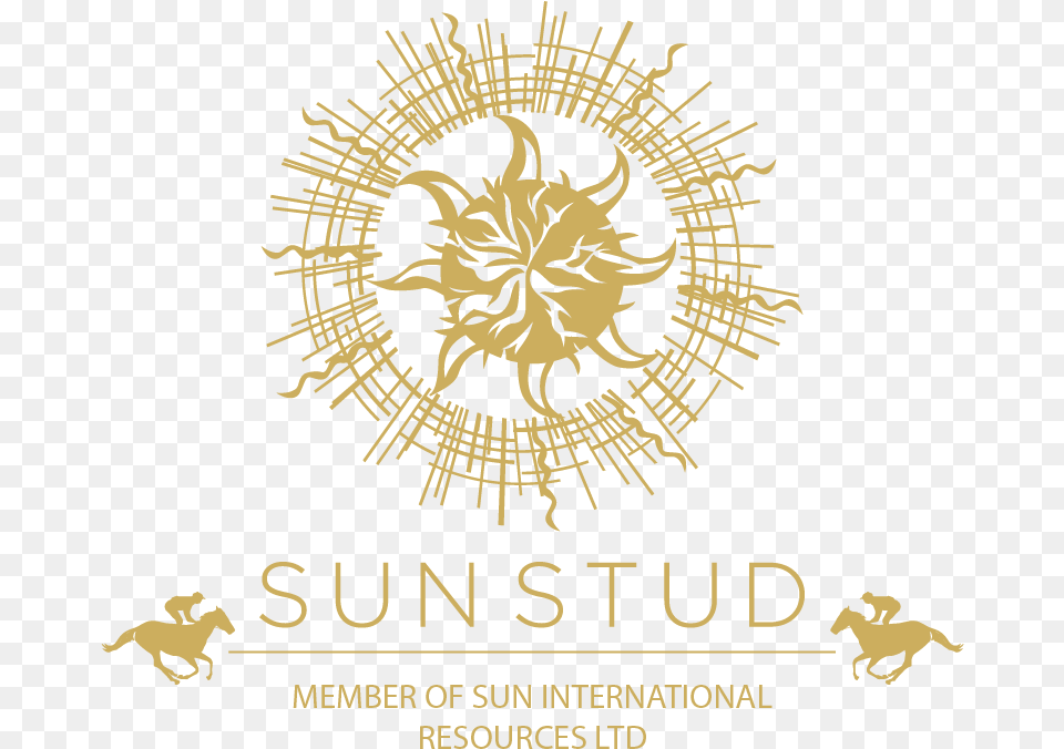 Sun Stud Suncity Macau Logo, Advertisement, Poster, Person Png