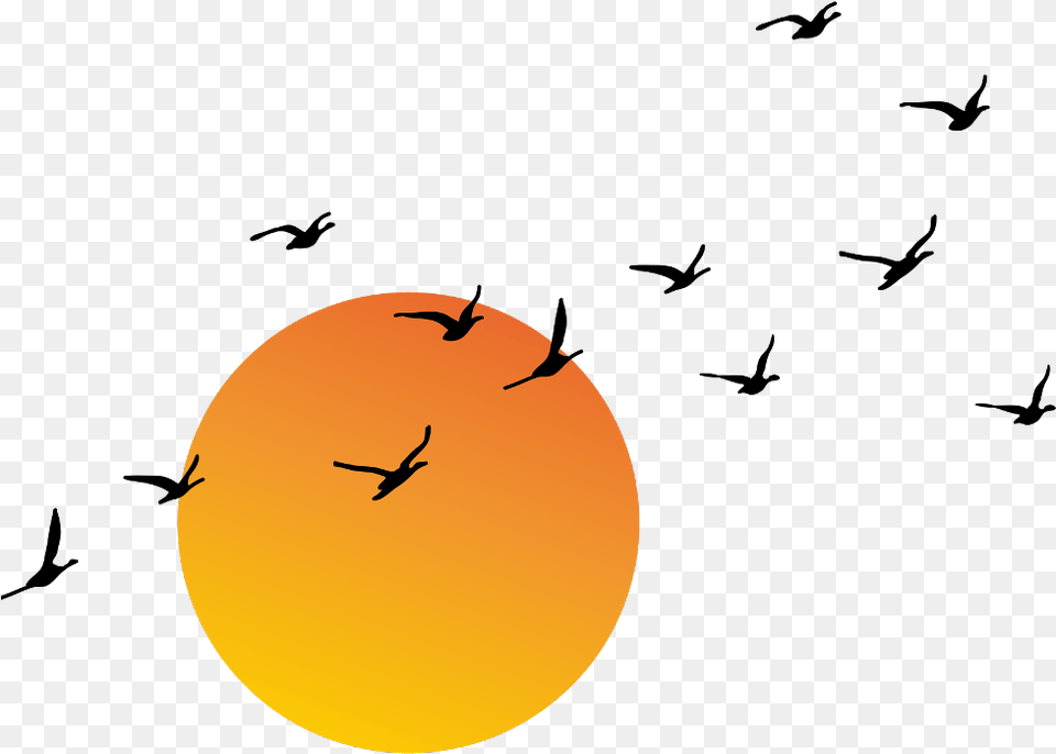 Sun Sunrise Sunset Sunny Sunlight Freetoedit Remix Sun And Birds, Nature, Outdoors, Sky, Animal Png Image