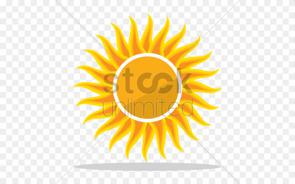 Sun Symbol Vector Flower, Plant, Sunflower Png Image