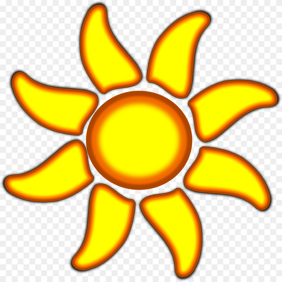 Sun With 8 Rays, Daisy, Flower, Plant, Petal Free Png