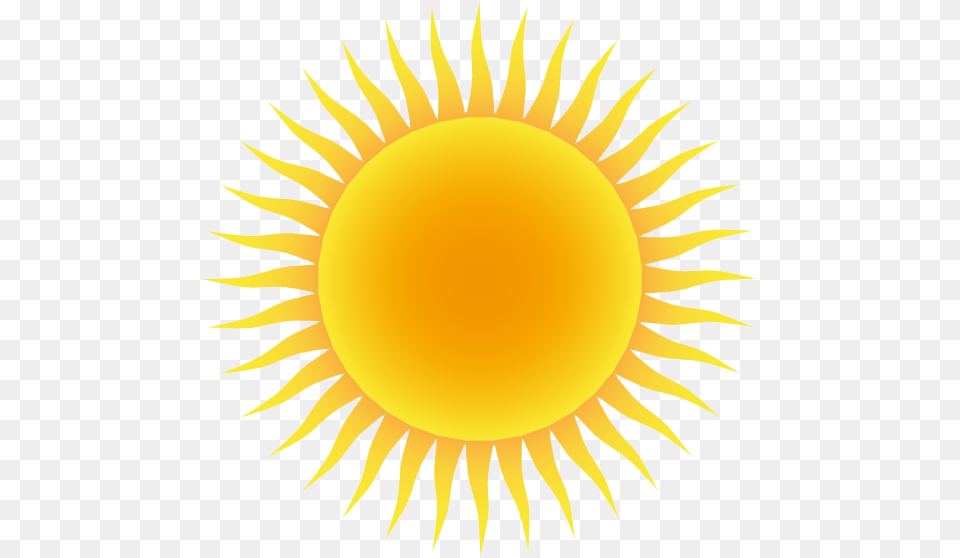 Sun With Clear Background, Flower, Nature, Outdoors, Plant Free Png Download