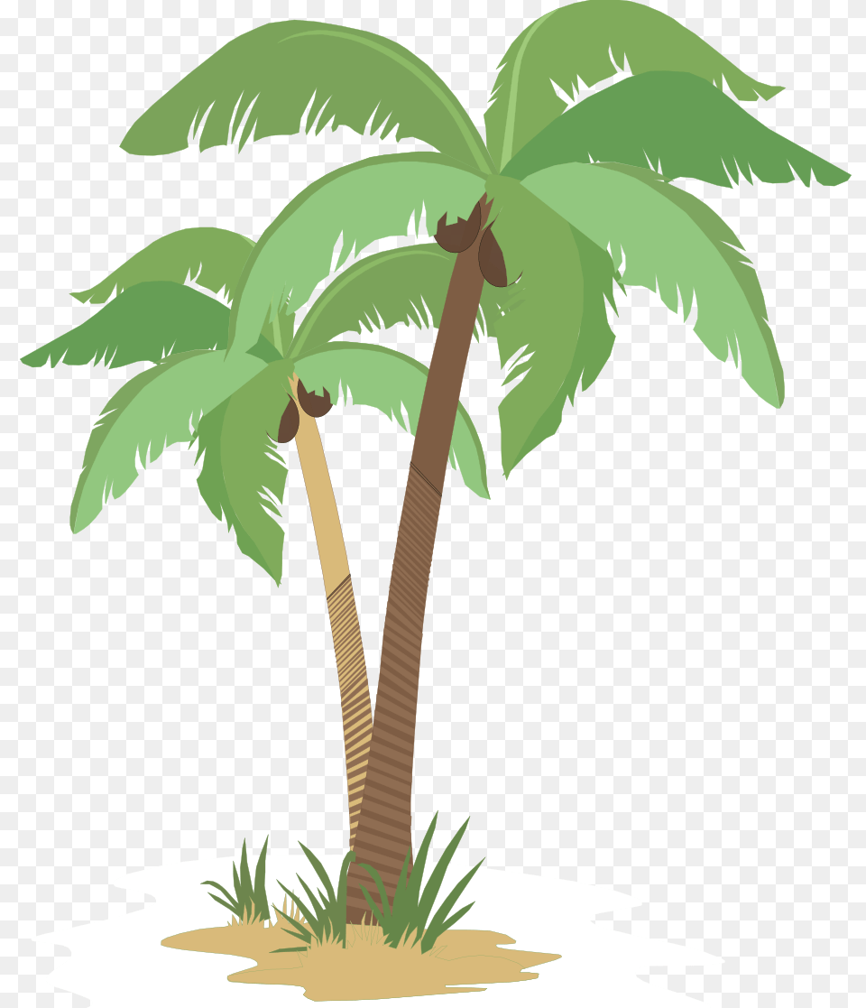 Sun With Coconut Trees Shape Coconut Tree Cartoon, Palm Tree, Plant, Vegetation, Animal Free Png Download
