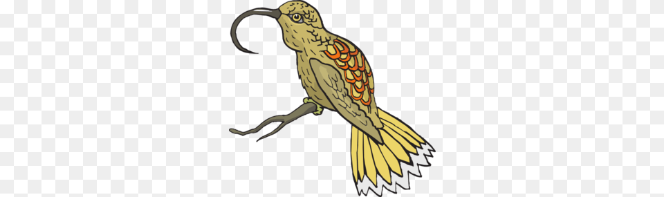 Sunbird Clip Art, Animal, Beak, Bird, Electronics Png