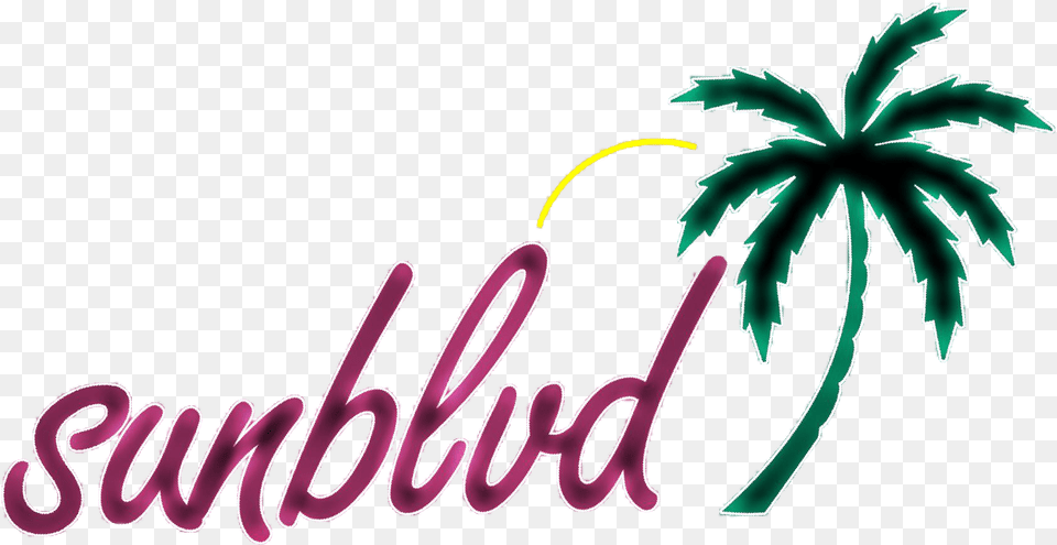 Sunblvd Black And White Palm Tree, Palm Tree, Plant, Fireworks Free Transparent Png