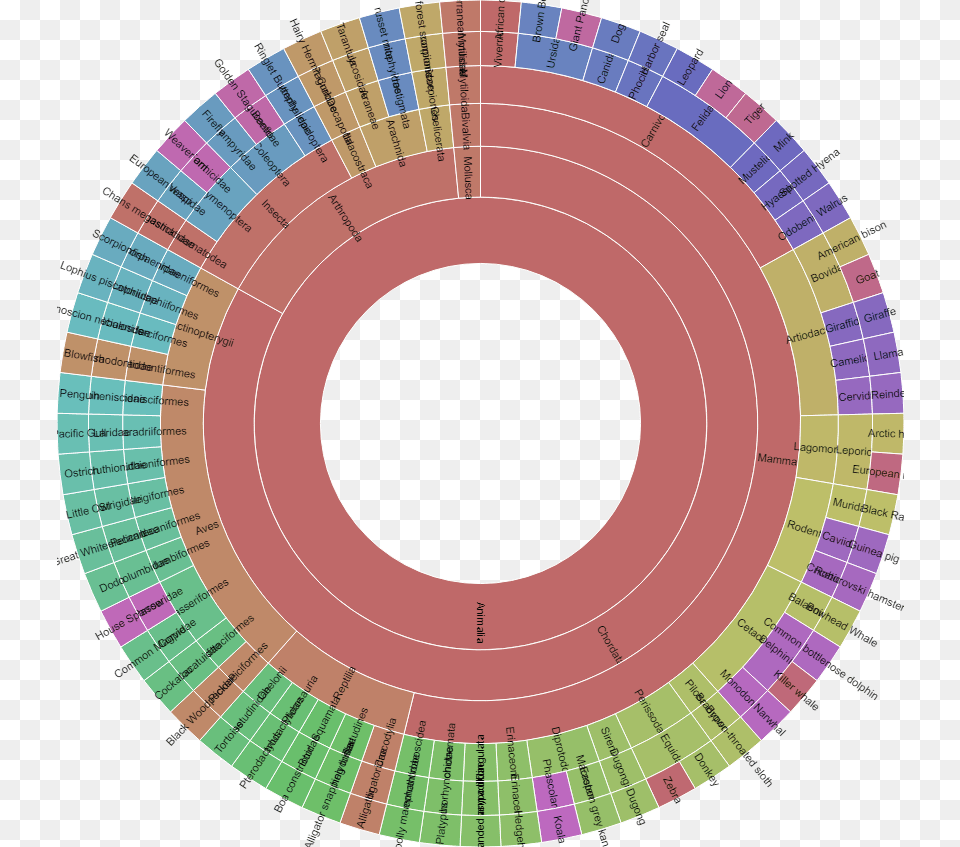 Sunburst Chart Of Animal Kingdom In Different Sizes Color, Disk Free Png