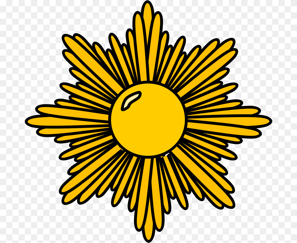 Sunburst Clipart Look, Daisy, Flower, Plant, Petal Png