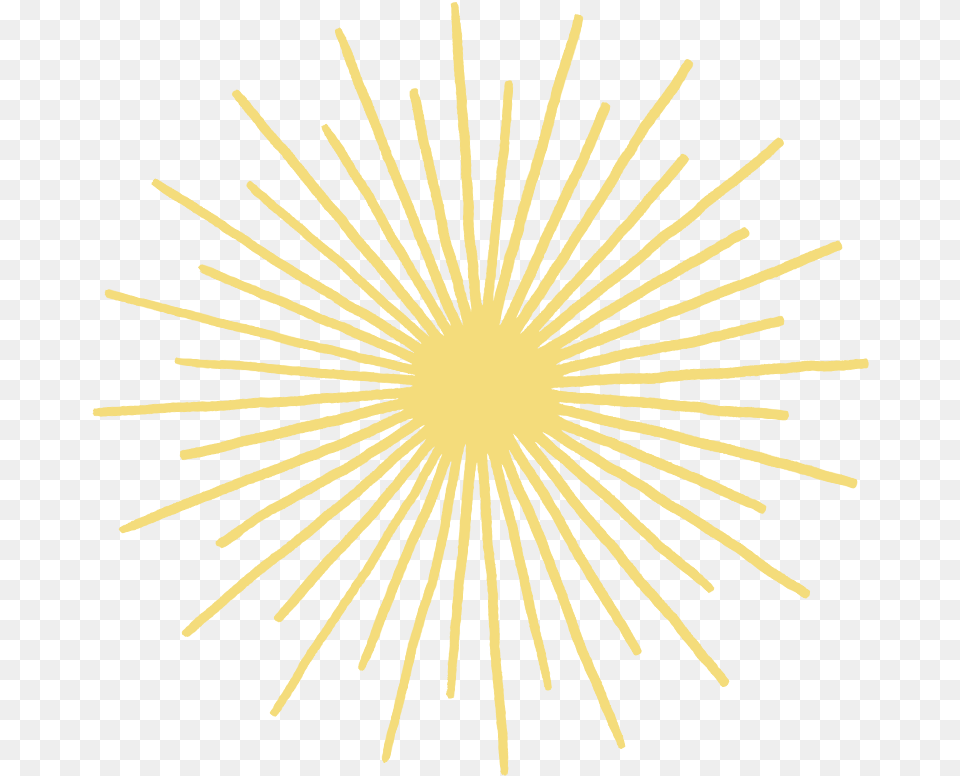 Sunburst Clipart Yellow Pattern Sun Circle, Plant, Light, Lighting, Fireworks Png Image
