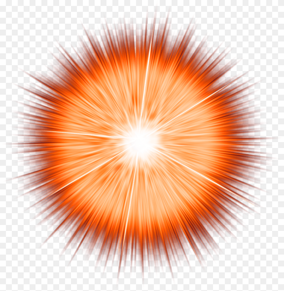 Sunburst Transparent Circle, Flare, Light, Lighting, Plant Png