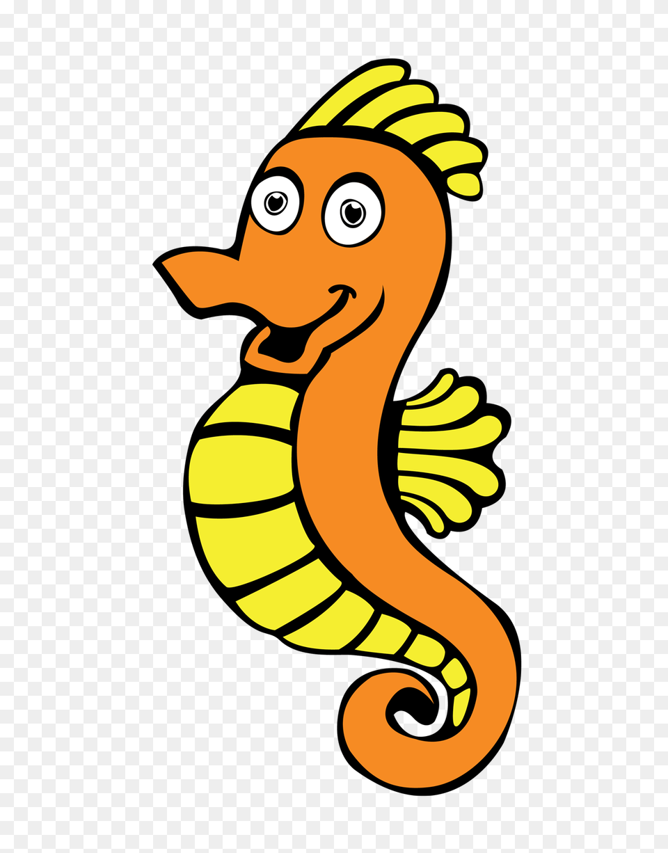 Suncoast Kids, Animal, Sea Life, Baby, Person Free Transparent Png
