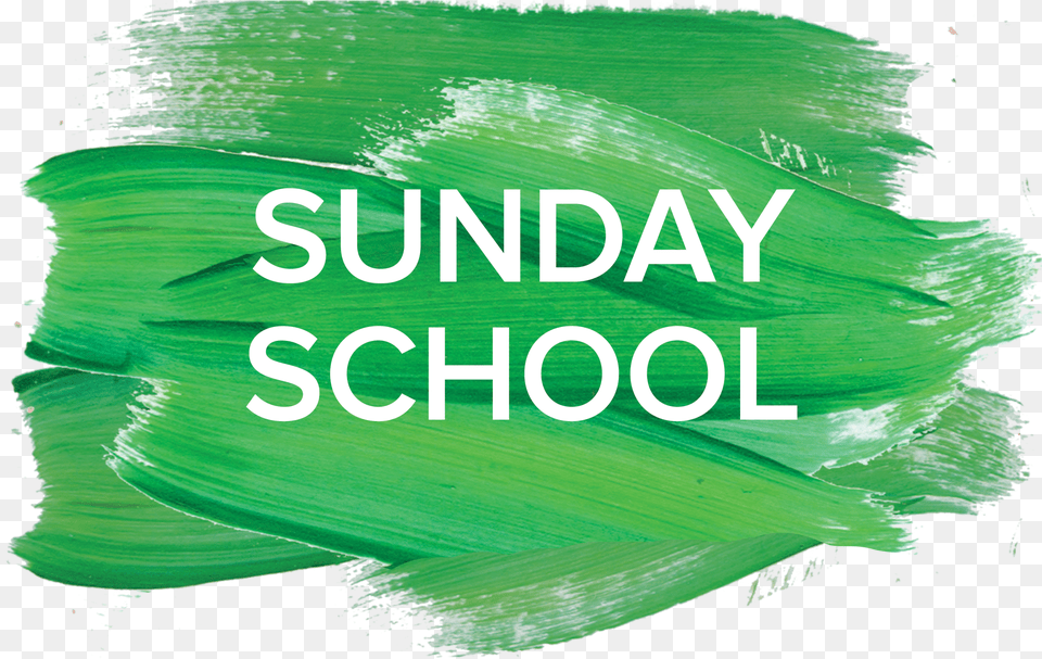 Sunday School, Leaf, Plant, Food, Leek Free Png